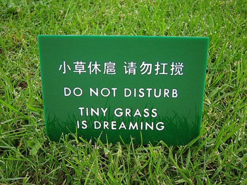 Funny Signs From Around The Web - Vispronet Funny Signs From Around The Web - Vispronet