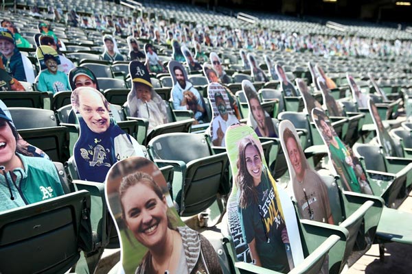 MLB Cardboard Cutouts Everything You Need to Know Vispronet